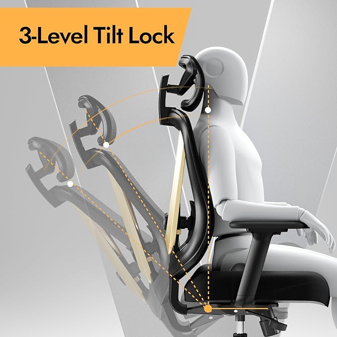 Ergonomic office chair with 3D lumbar support