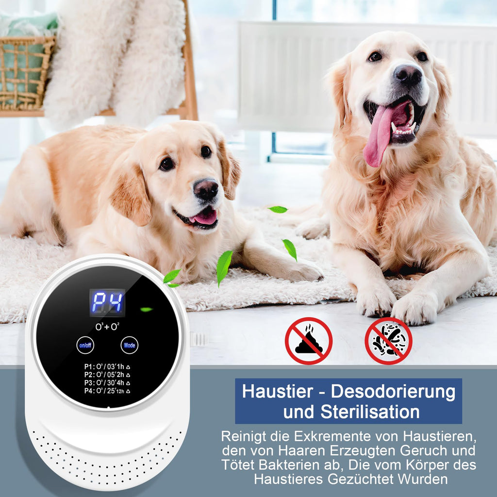 Ozone Generator – Odor Remover and Air Freshener for Home
