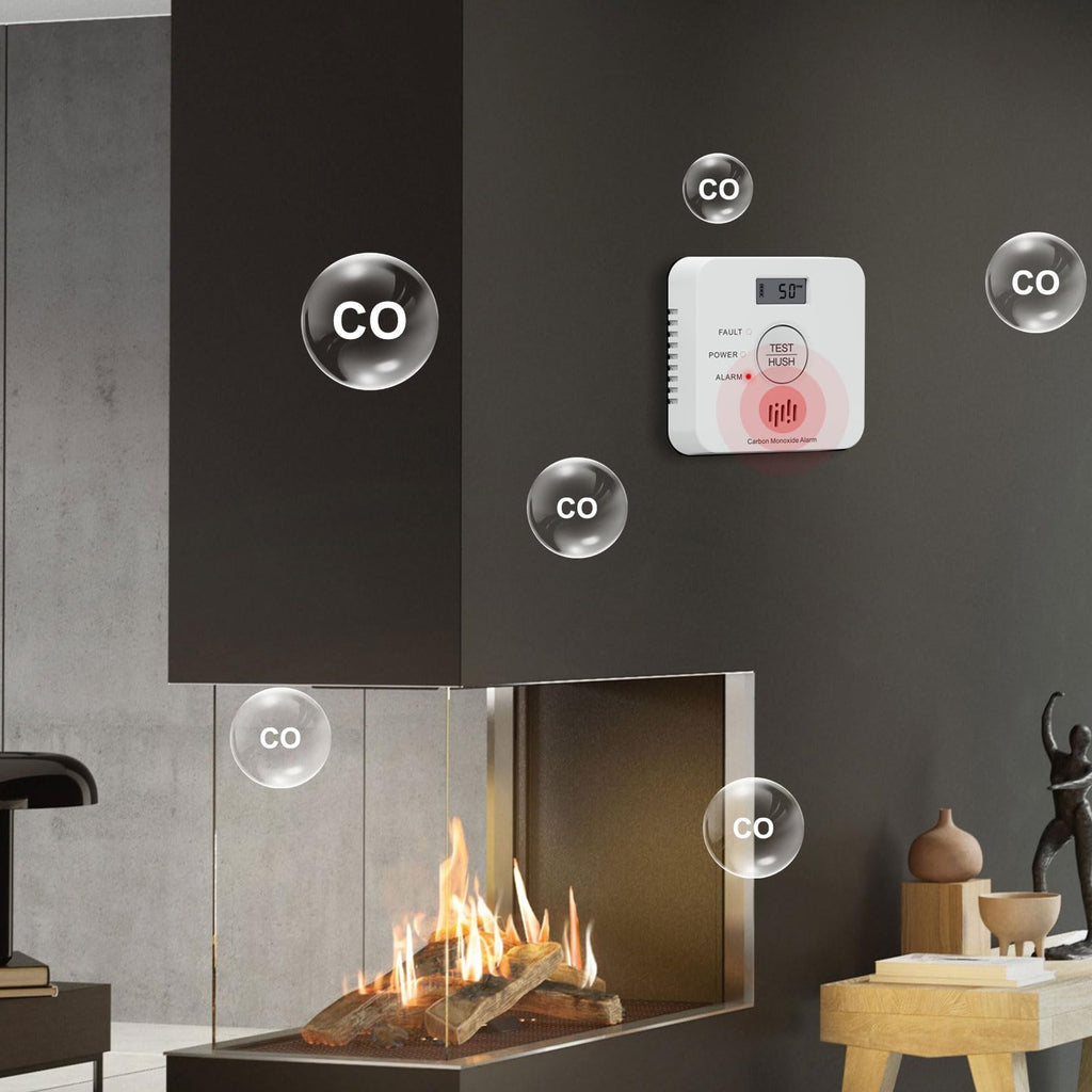 Ruan Carbon Monoxide Detector with LCD Display and 10-Year Battery