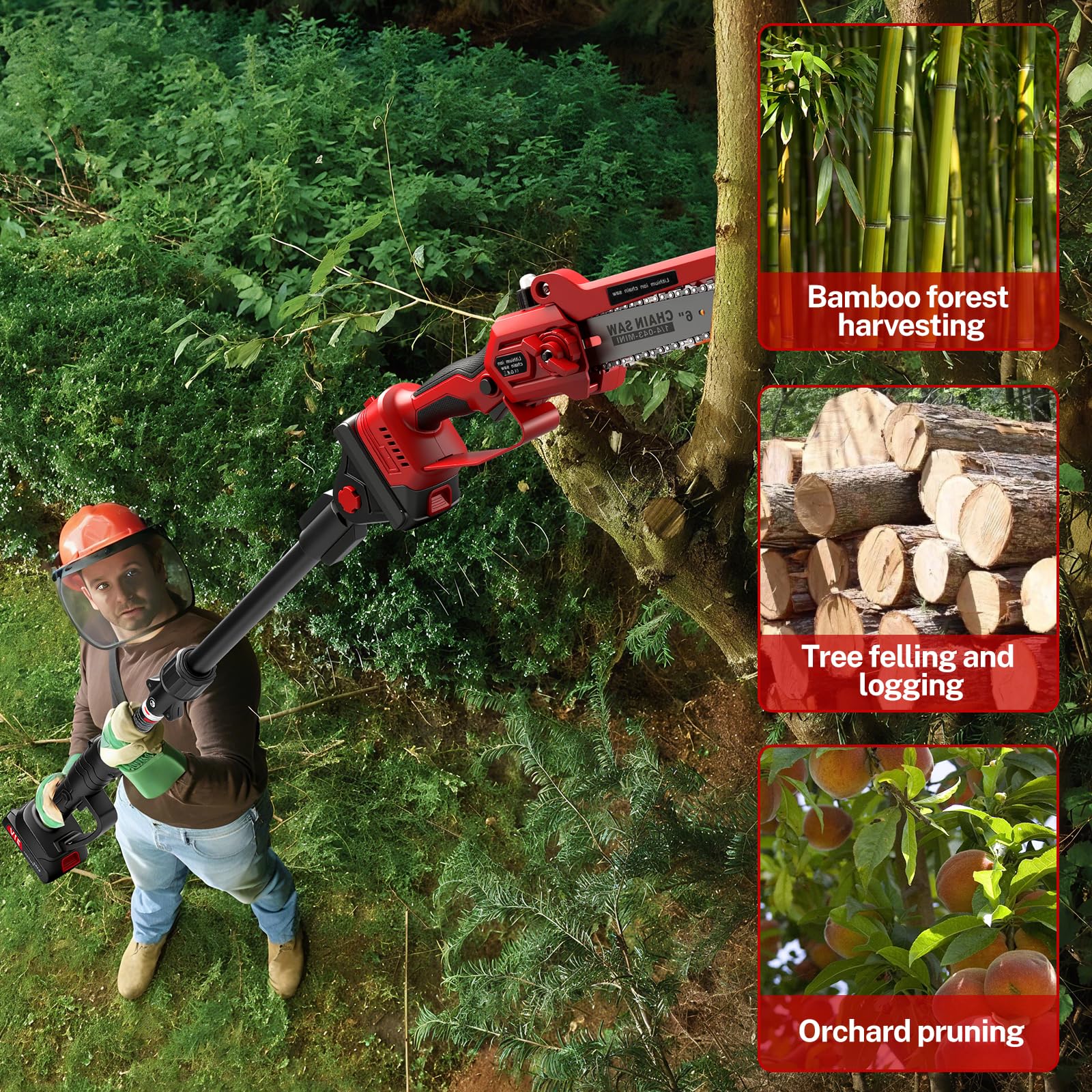 2-in-1 Mini Chainsaw and Telescopic Pruner 6 inches