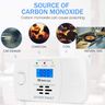 HEIMAN Carbon Monoxide Detector LCD Display 10-Year Lifespan - Replaceable Battery