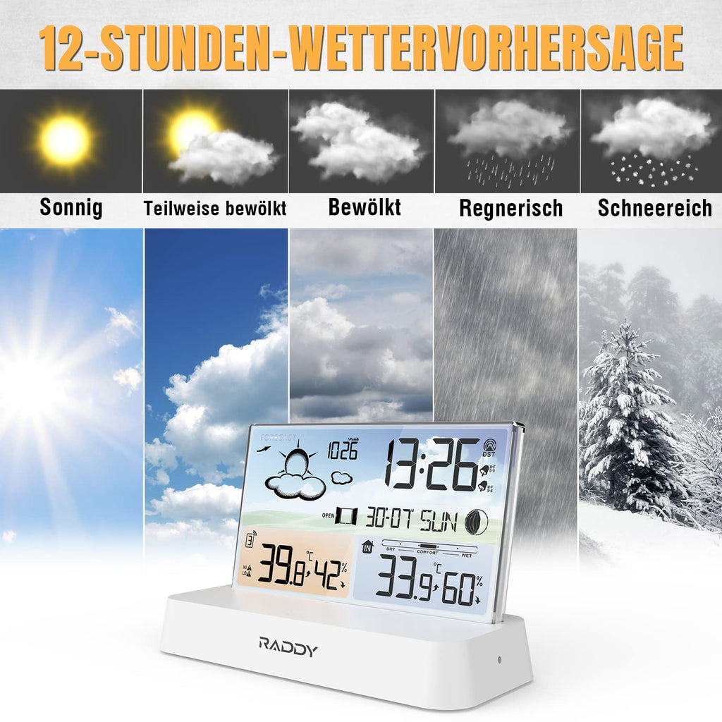 Raddy DT6 Weather Station Indoor Outdoor Digital Thermometer Hygrometer - Black